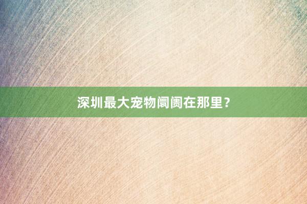 深圳最大宠物阛阓在那里？